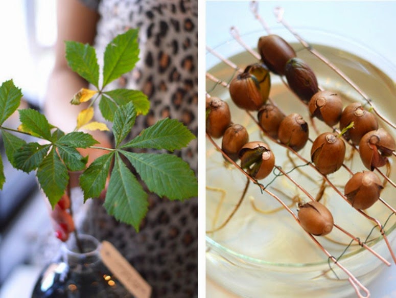 Una floristería única en su especie