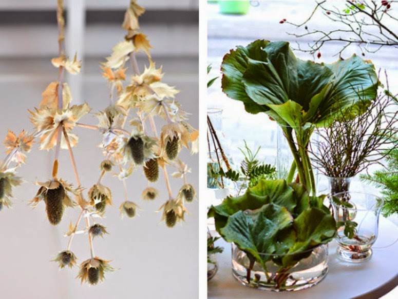 Una floristería única en su especie