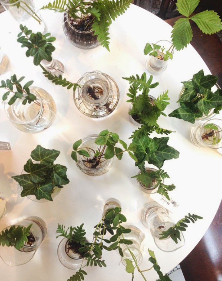 Una floristería única en su especie