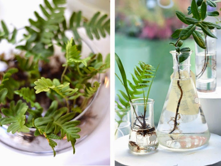 Una floristería única en su especie