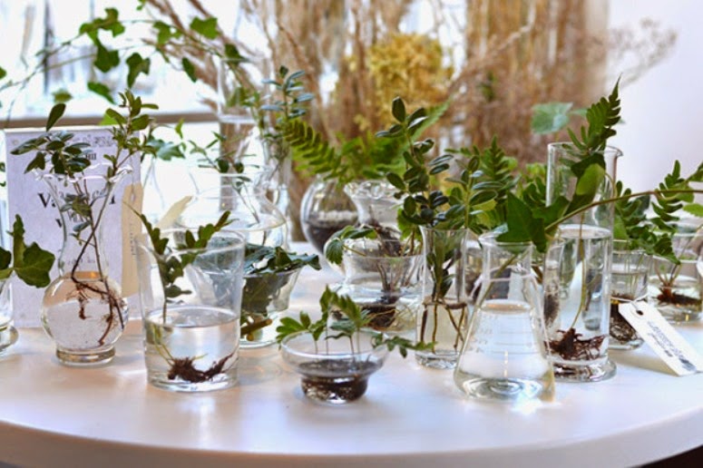 Una floristería única en su especie