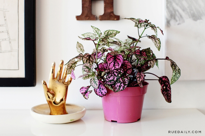 El luminoso estudio de una diseñadora de joyas