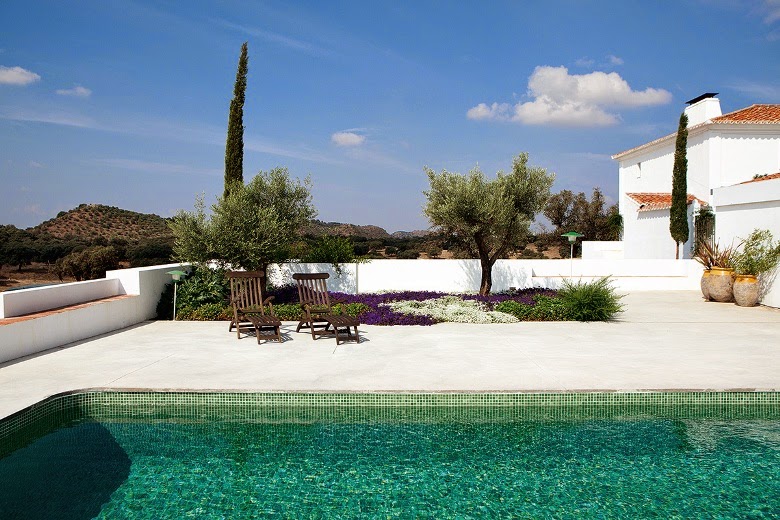 El oasis de Eugenia Silva