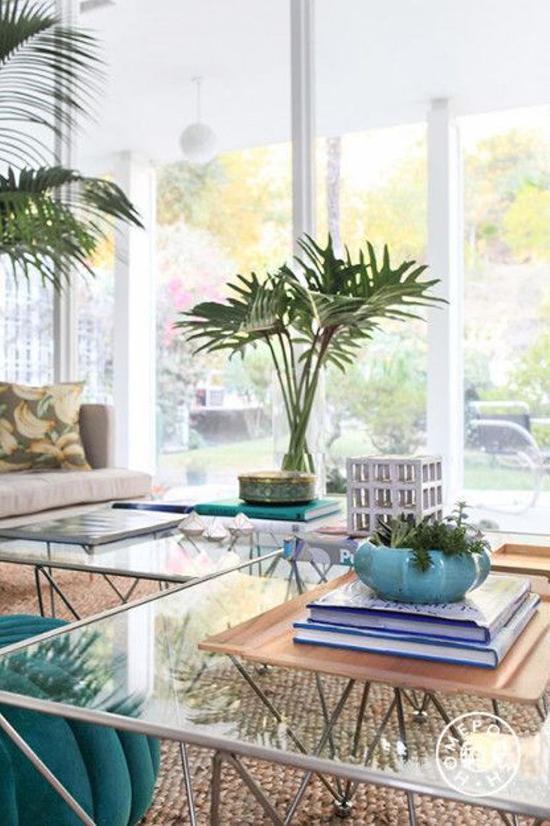 Tener un paraíso en casa