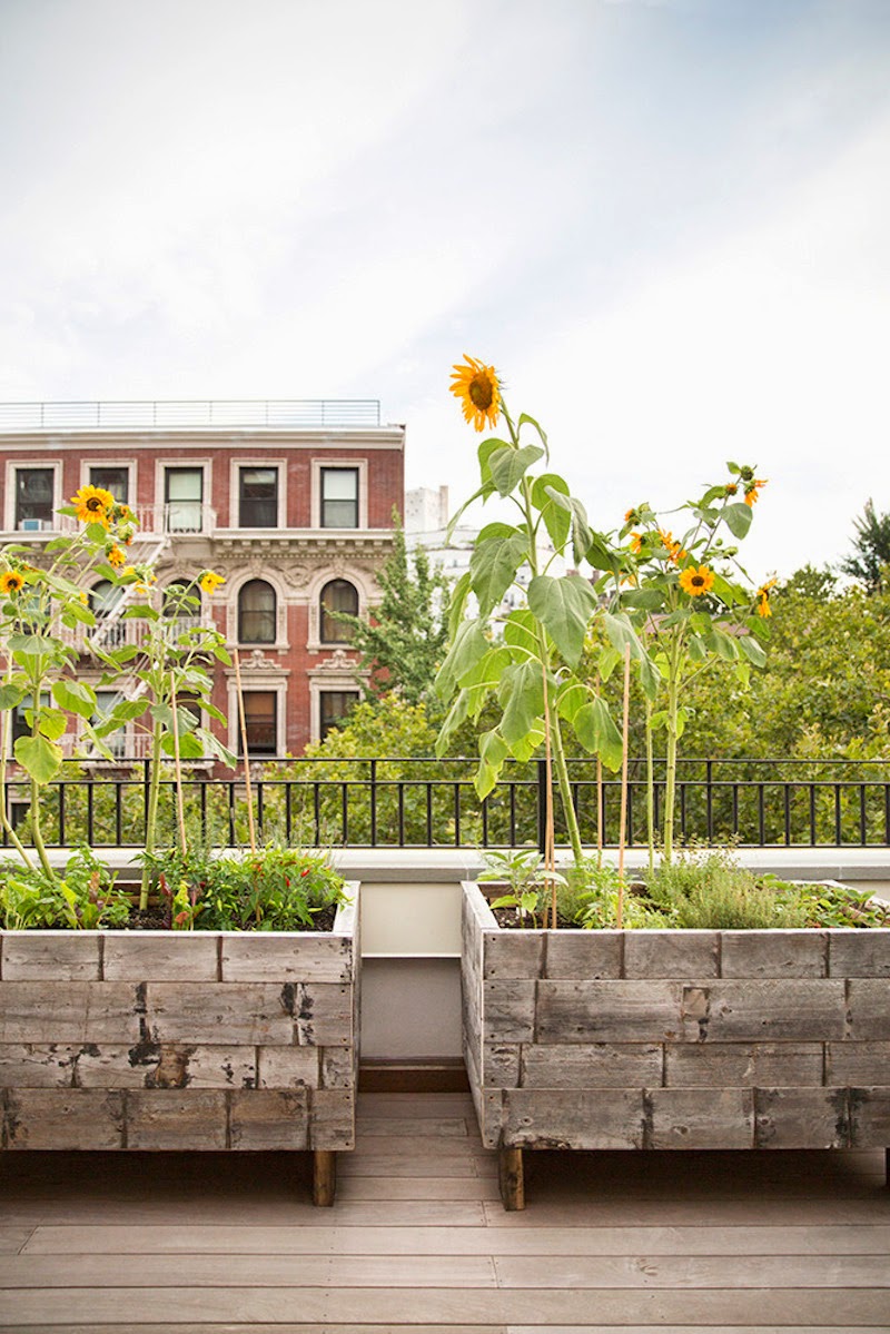 El glamour más cálido
