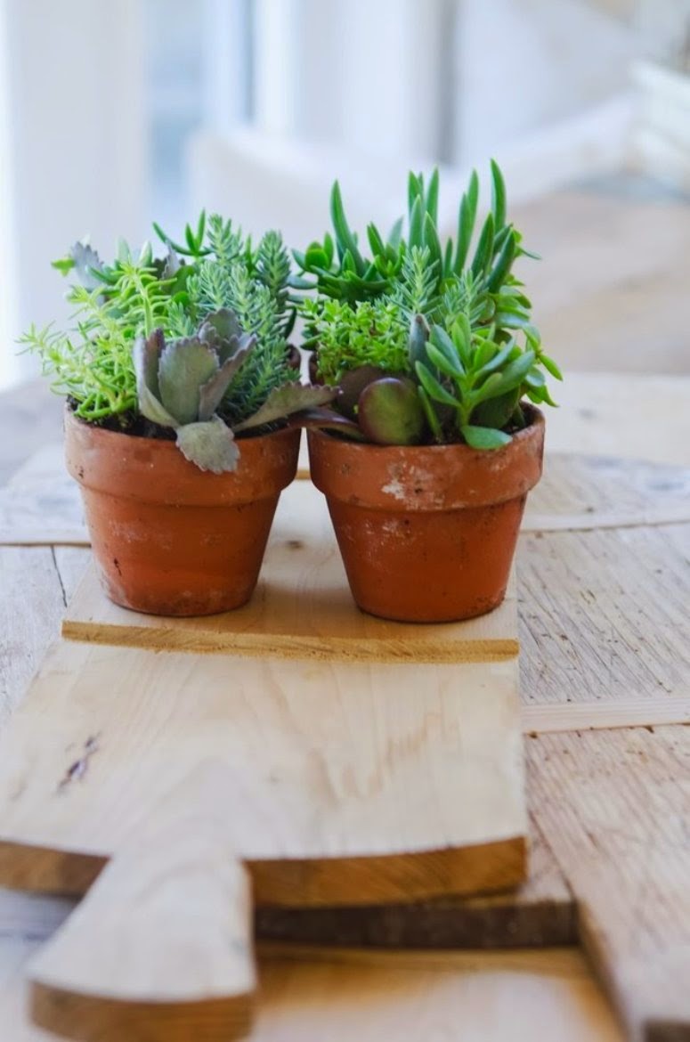 Transformar una cocina normal en una de lujo