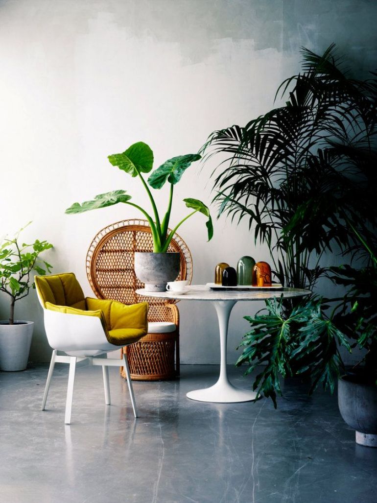10 preciosas formas de decorar con plantas