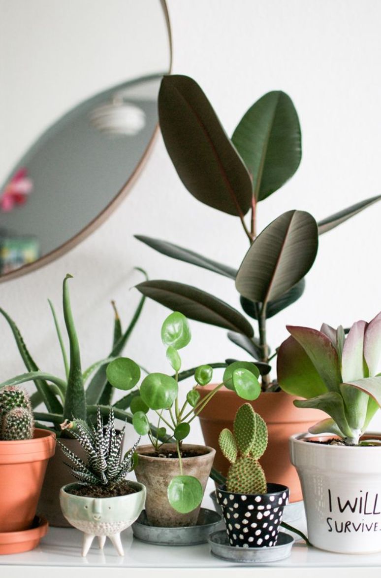 10 preciosas formas de decorar con plantas