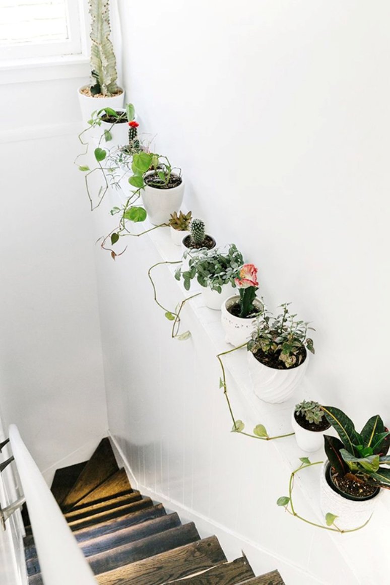 Inspiración para decorar con plantas