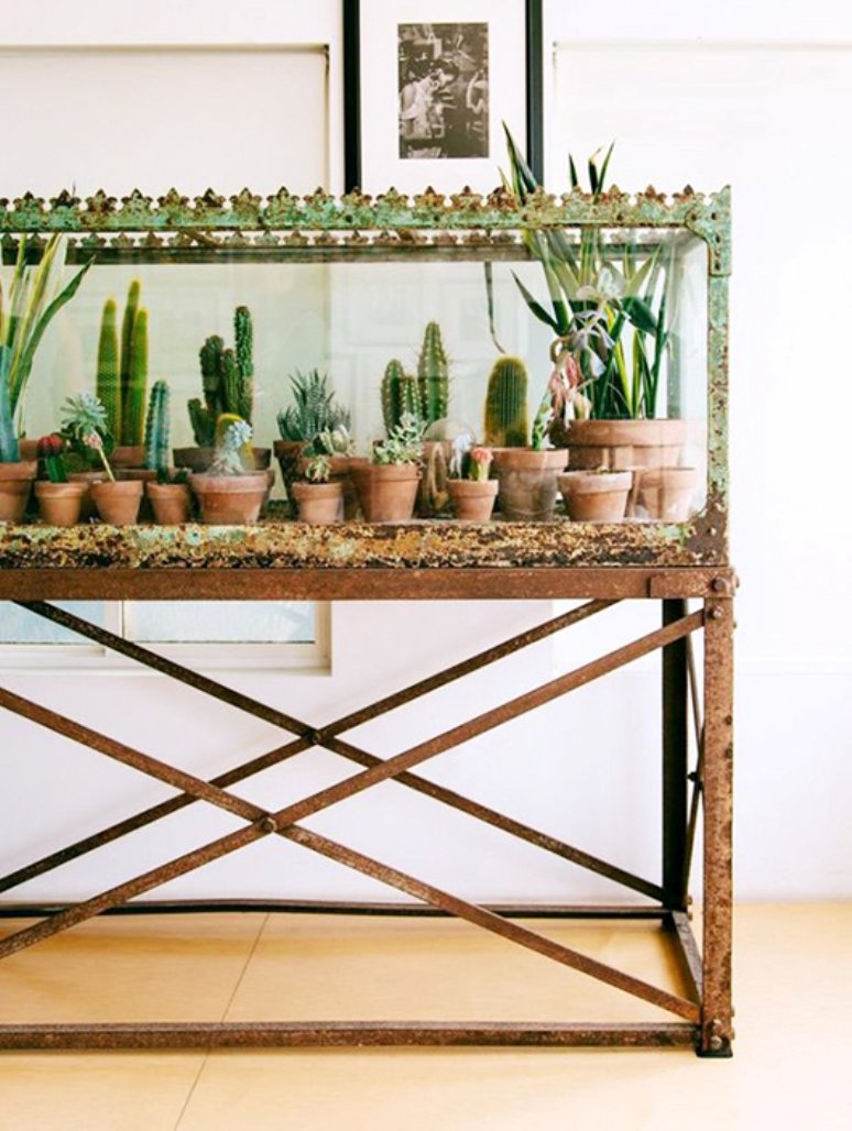 Inspiración para decorar con plantas