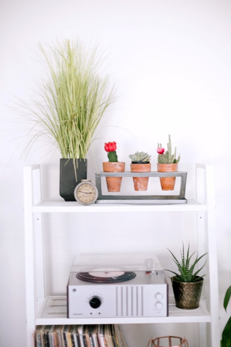 Inspiración para decorar con plantas