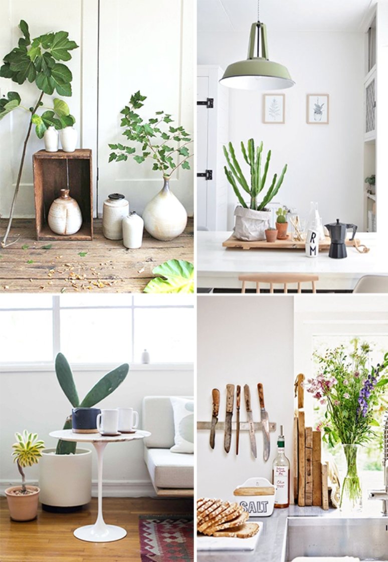 Inspiración para decorar con plantas