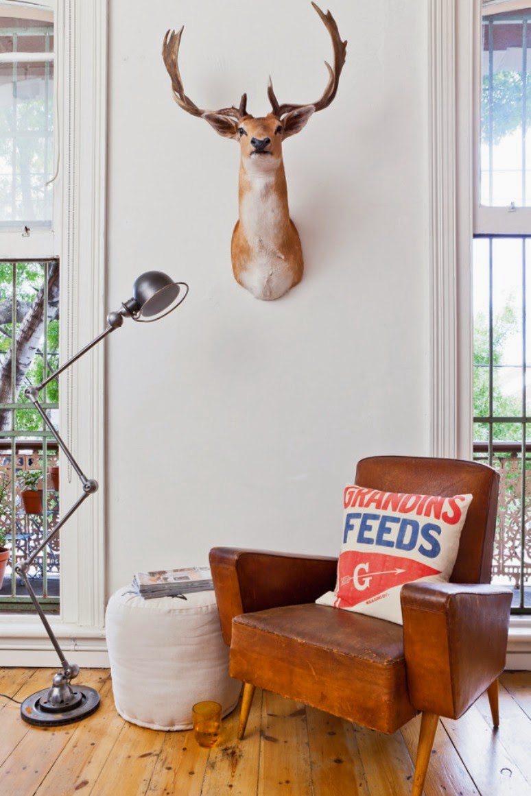 Eclecticismo y amor animal