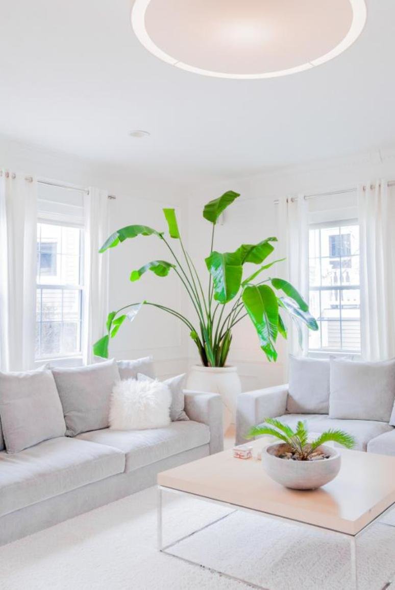 Estilo fresco y tropical en una cochera