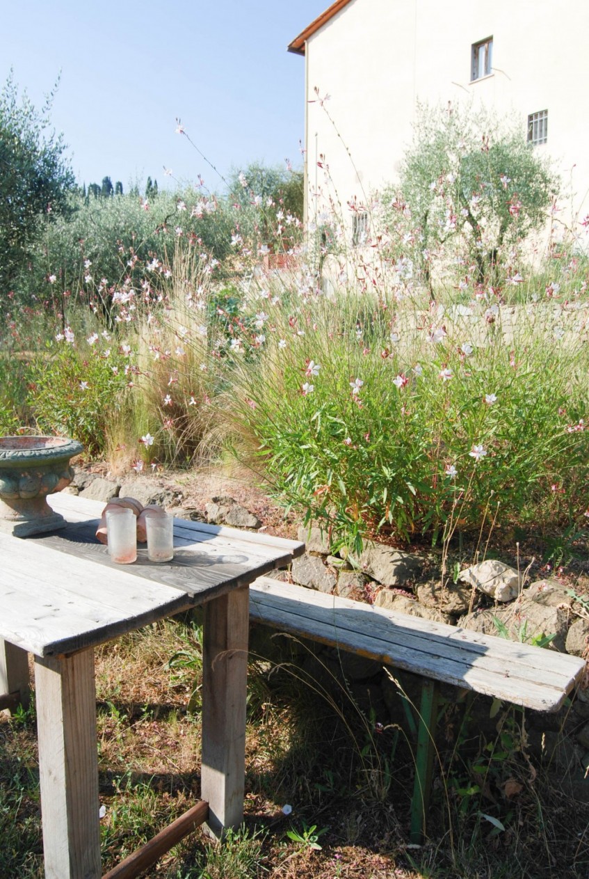 La delicada bellesa del dia a dia a Valdirose