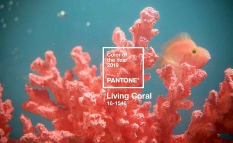 Living Coral: dónde usarlo y cómo combinarlo