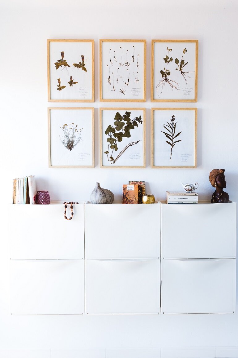 Una Gallery Wall de láminas de herbario