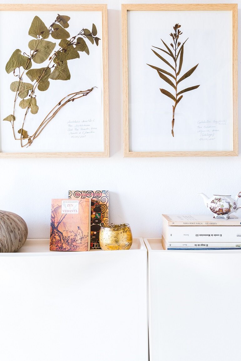 Una Gallery Wall de láminas de herbario