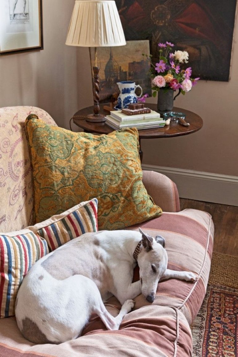 Els millors accessoris per al teu gos