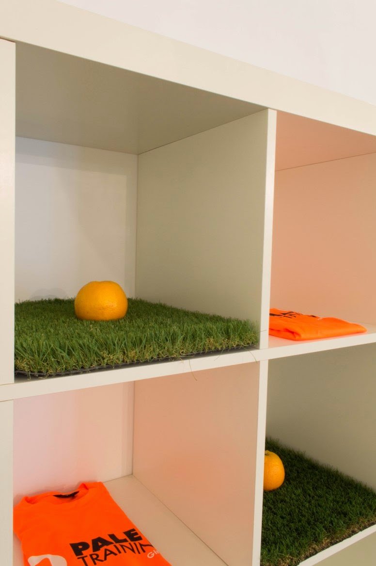 Proyecto de interiorismo: PaleoTraining Girona