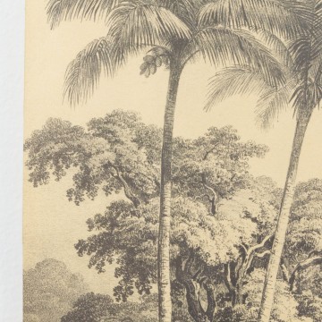 Antigua ilustración de un paisaje africano, s. XIX
