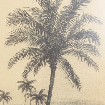 Antigua ilustración de un paisaje africano, s. XIX