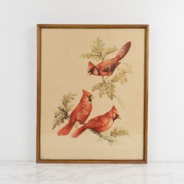 Lámina de pájaros rojos