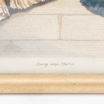 Antigua litografía coloreada francesa de moda