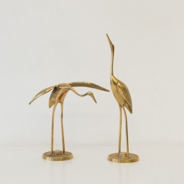 Pareja de garzas pequeñas