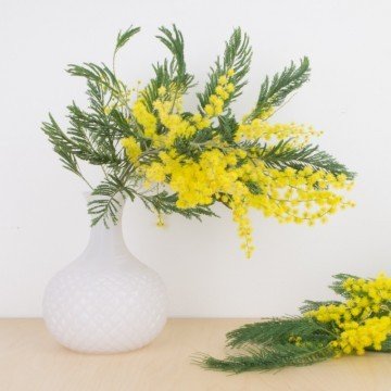 Jarrón opalino blanco