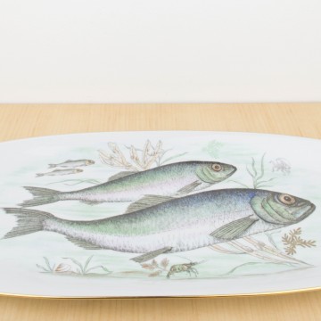 Servicio completo de pescado en porcelana