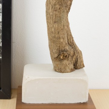 La covardia humana, escultura de Cèlia Izquierdo