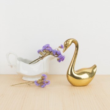 Cisne de bronce, de Francia