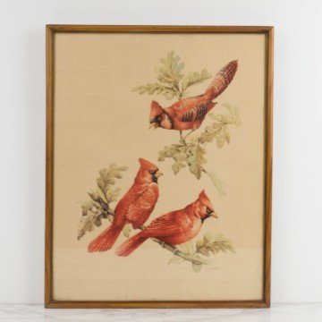 Lámina de pájaros rojos
